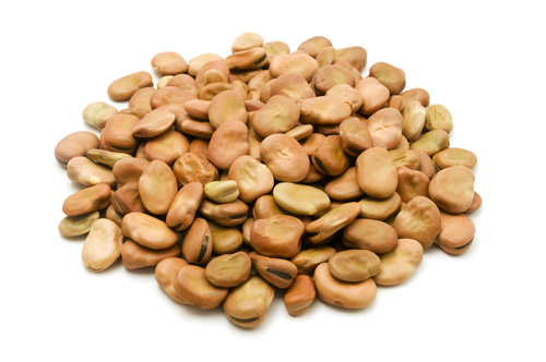 Pulse Australia - Faba (and broad) bean